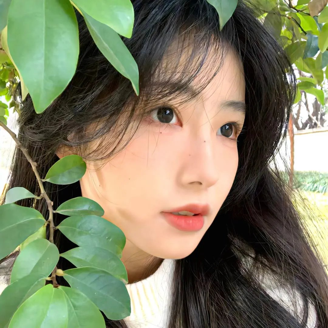 双姝泪